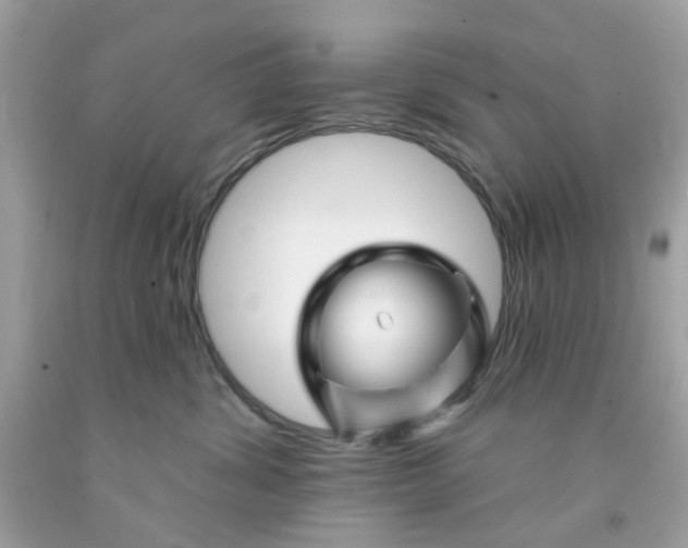 X0000091070428200709041223