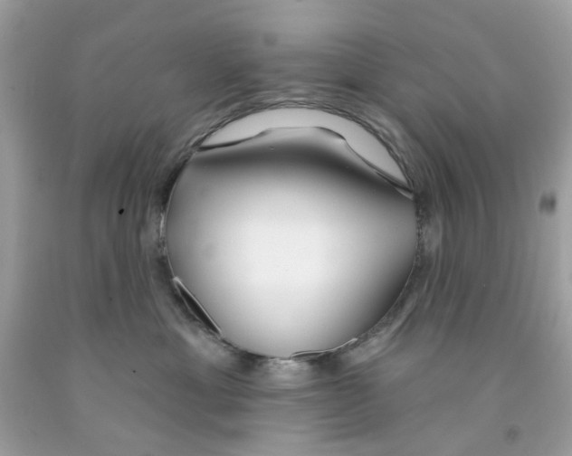 X0000091070429200709041223