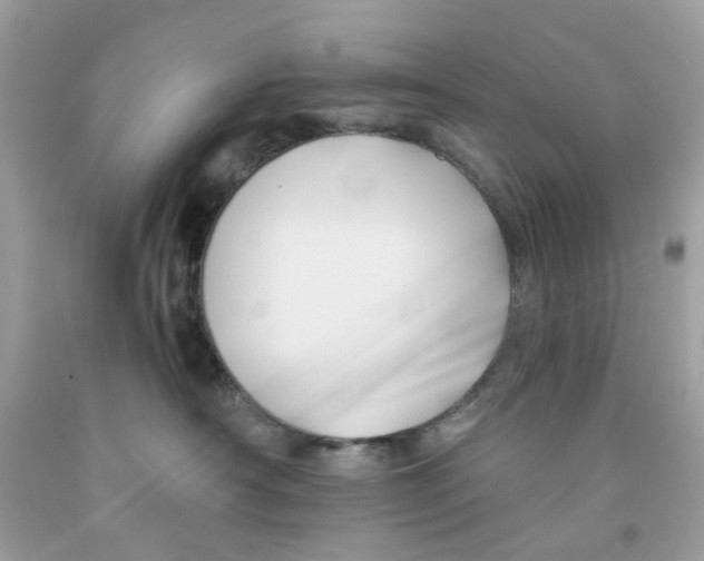 X0000091070430200709041223