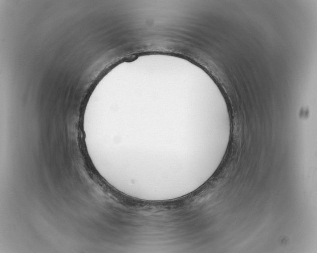 X0000091070434200709041223