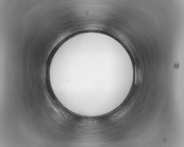 X0000091070435200709041223