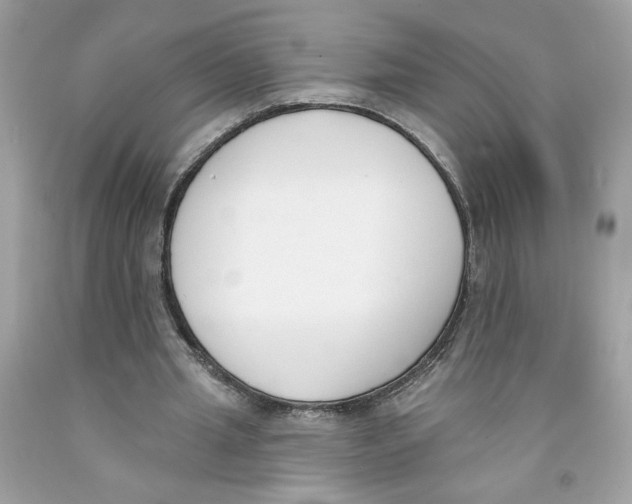 X0000091070437200709041223