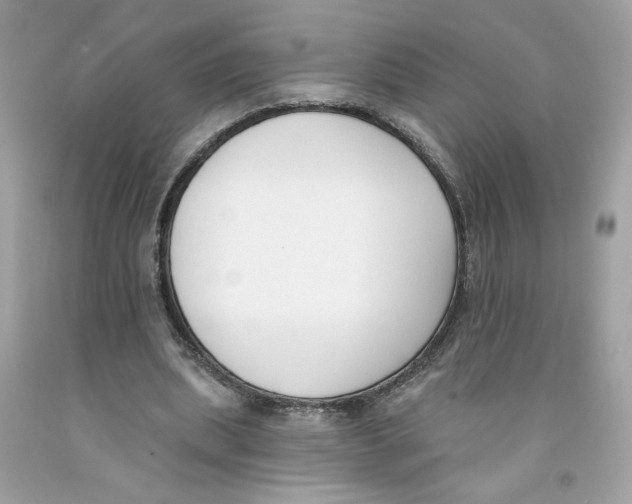 X0000091070439200709041223