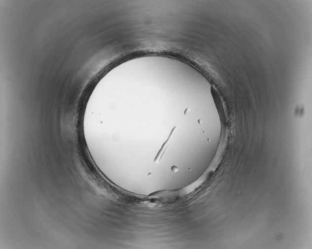 X0000091070440200709041223