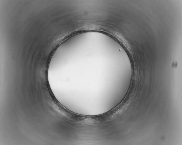 X0000091070441200709041223