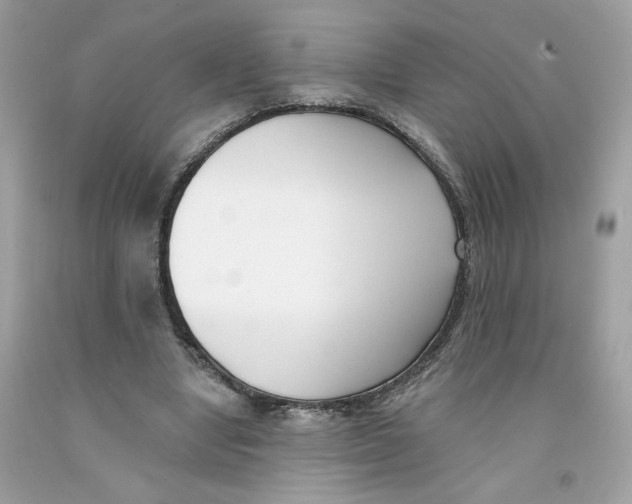 X0000091070442200709041223