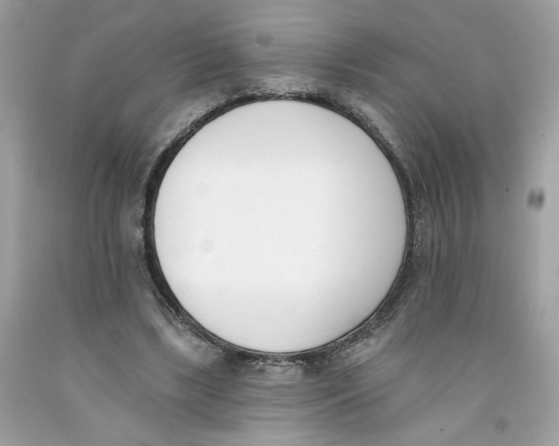 X0000091070443200709041223