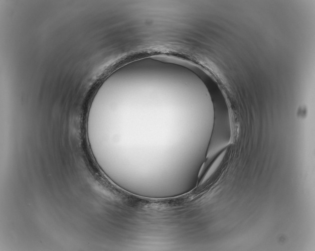X0000091070444200709041223
