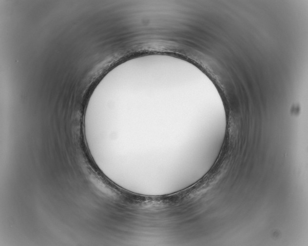 X0000091070445200709041223