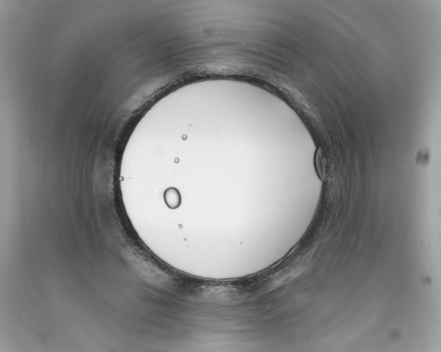 X0000091070446200709041223