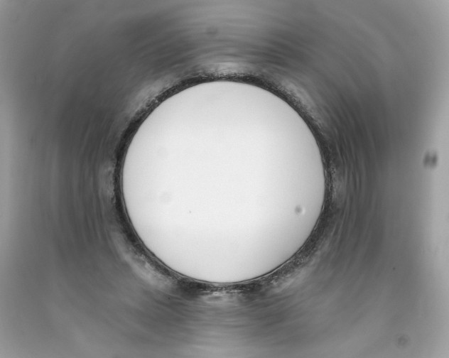 X0000091070447200709041223