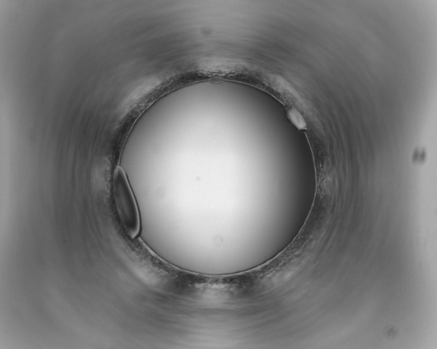 X0000091070448200709041223