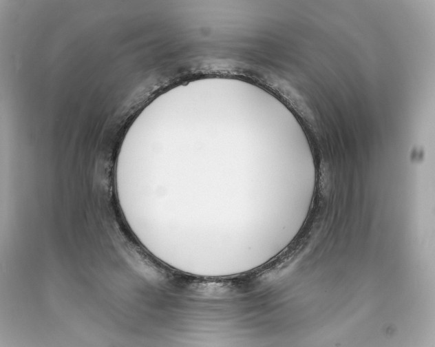 X0000091070449200709041223