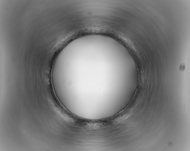 X0000091070450200709041223