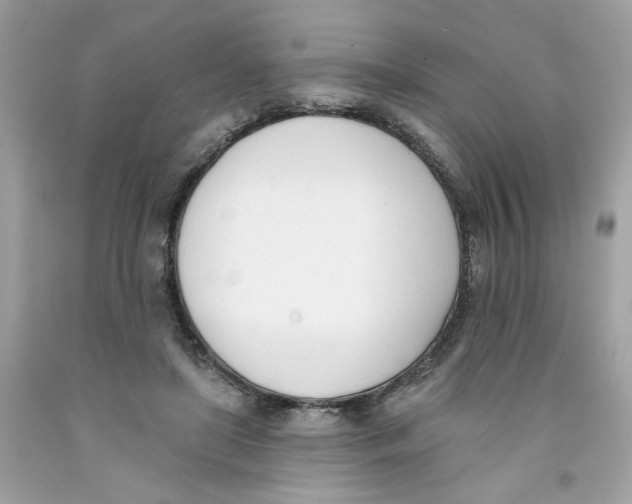 X0000091070451200709041223
