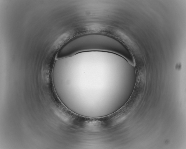 X0000091070452200709041223