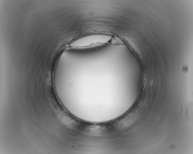 X0000091070453200709041223