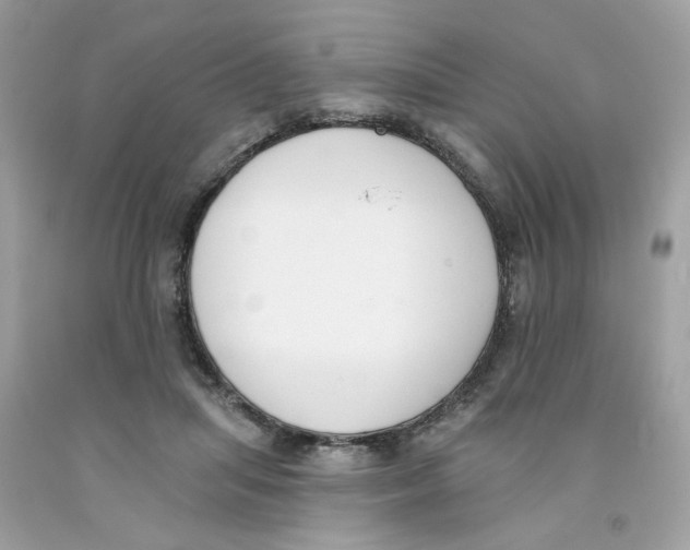 X0000091070455200709041223