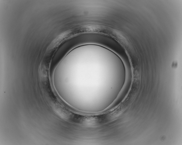 X0000091070456200709041223