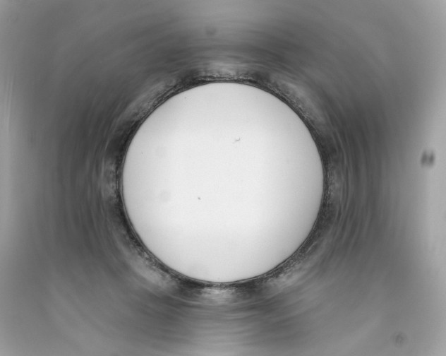 X0000091070457200709041223