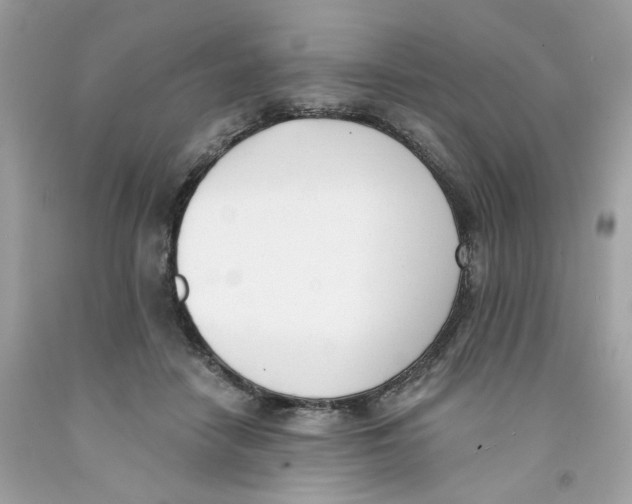 X0000091070458200709041223