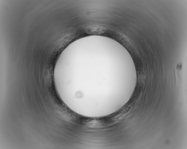 X0000091070460200709041223