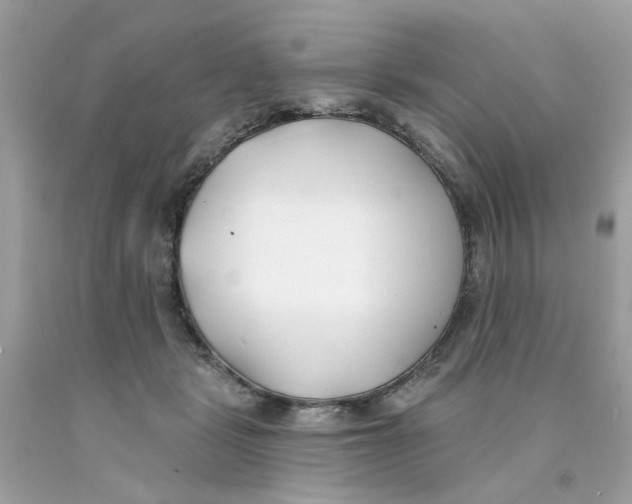 X0000091070461200709041223