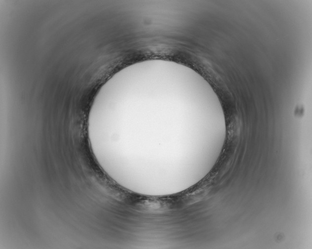 X0000091070464200709041223