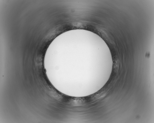 X0000091070466200709041223