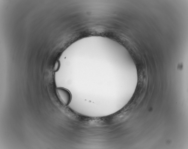 X0000091070468200709041223