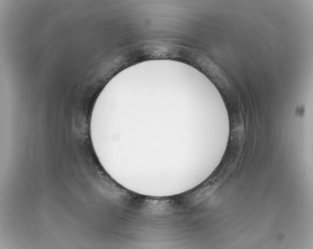 X0000091070469200709041223