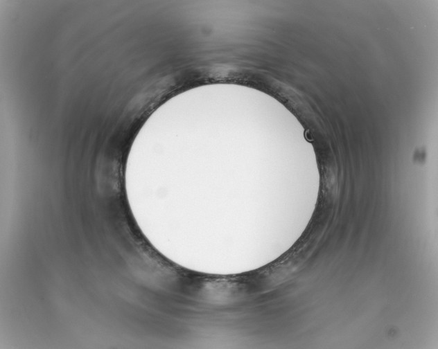 X0000091070470200709041223