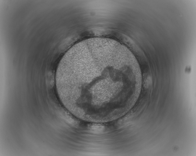 X0000091070471200709041223
