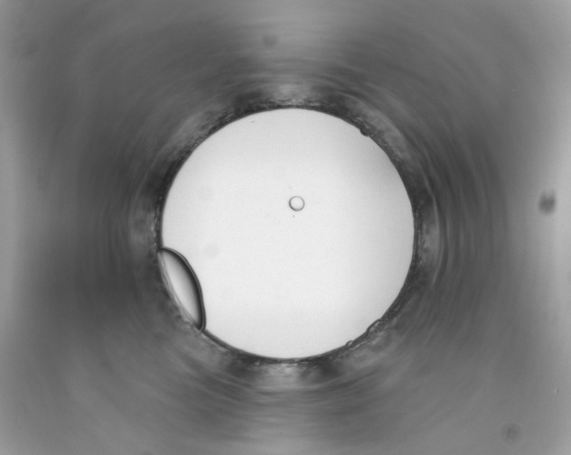 X0000091070473200709041223