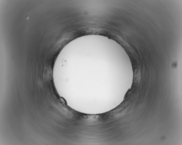 X0000091070474200709041223