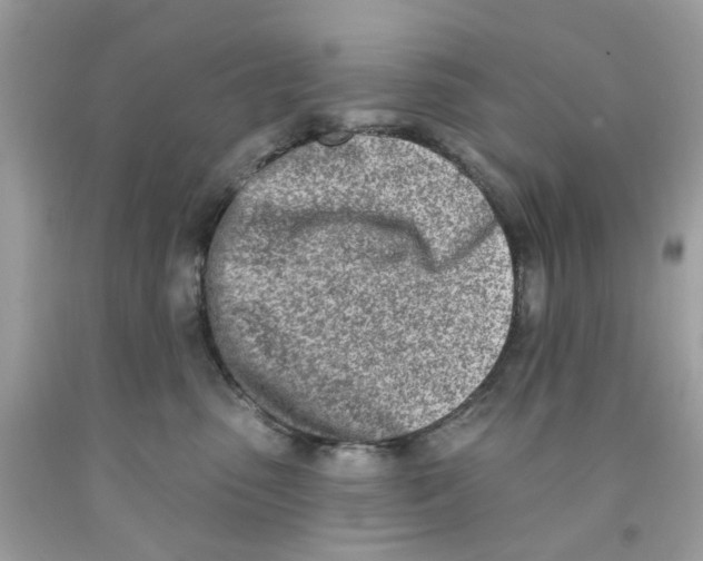 X0000091070475200709041223