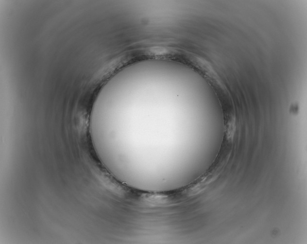 X0000091070476200709041223