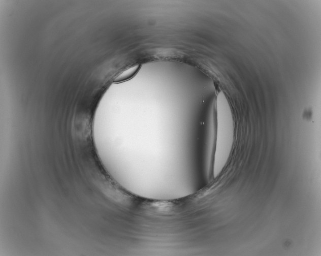 X0000091070478200709041223
