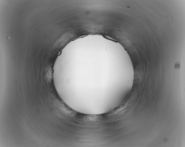 X0000091070479200709041223