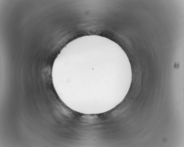 X0000091070480200709041223
