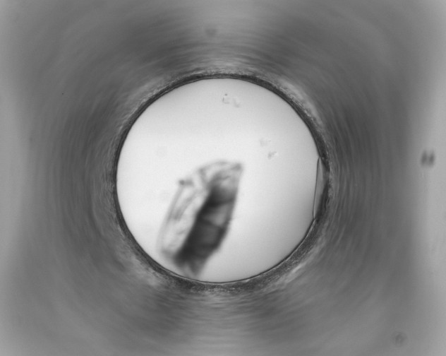 X0000091070481200709041222