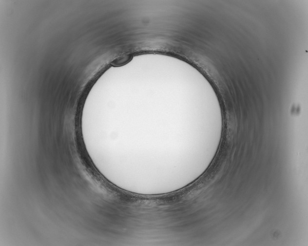X0000091070482200709041222