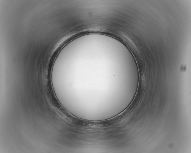 X0000091070484200709041222