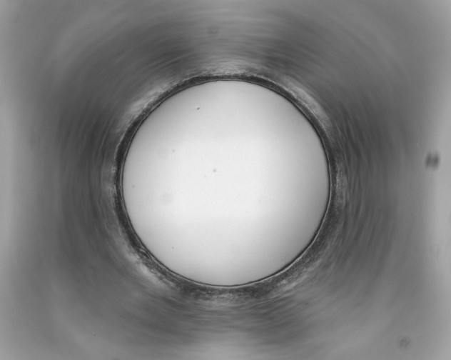 X0000091070485200709041222