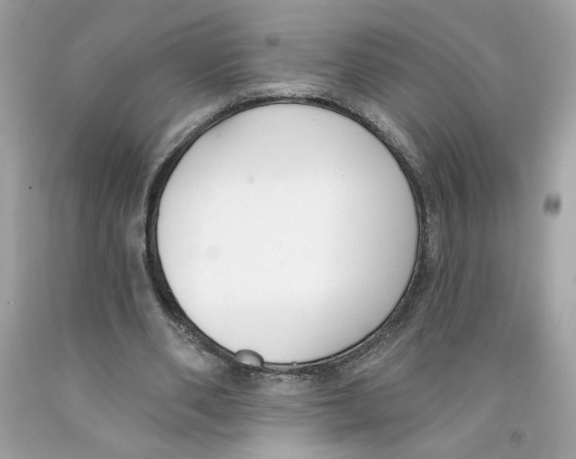 X0000091070486200709041222