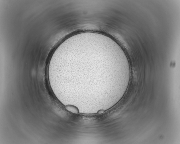X0000091070487200709041222