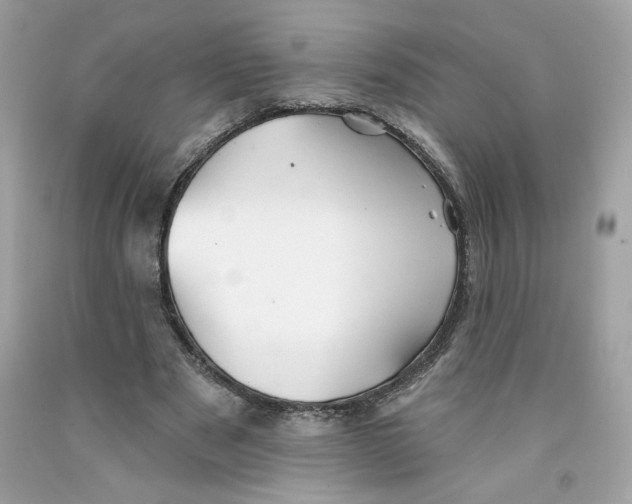 X0000091070489200709041222