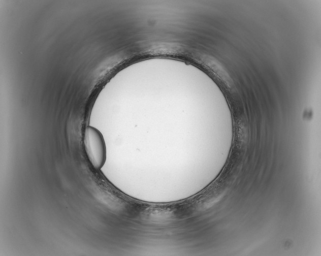 X0000091070491200709041222