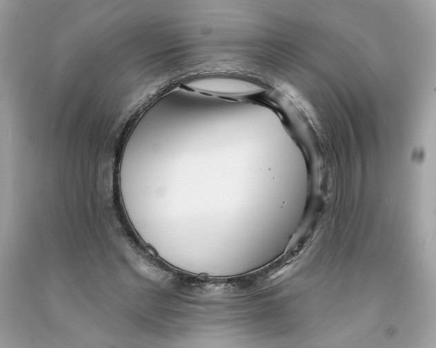 X0000091070493200709041222