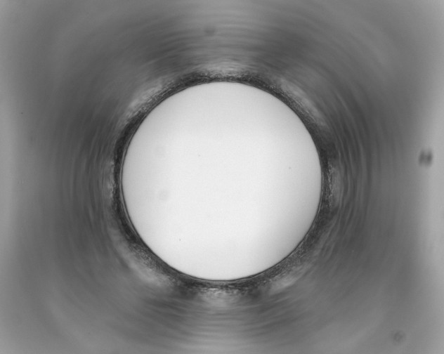 X0000091070494200709041222
